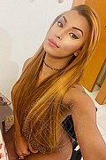 Roma Trans Escort Tiffany Oliveira 371 6140791 foto selfie 56