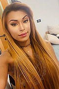 Roma Trans Escort Tiffany Oliveira 371 6140791 foto selfie 52