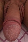 Villa Rosa Trans Escort Giselly  Bella 351 8461907 foto selfie 97