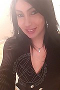 Padova Trans Escort Izabelli Frazao Pornostar 327 6619130 foto selfie 8