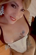 Padova Trans Escort Izabelli Frazao Pornostar 327 6619130 foto selfie 32