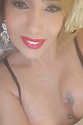 Padova Trans Escort Izabelli Frazao Pornostar 327 6619130 foto selfie 30