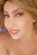Padova Trans Escort Izabelli Frazao Pornostar 327 6619130 foto selfie 40