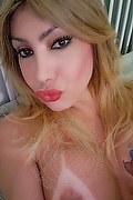 Padova Trans Escort Izabelli Frazao Pornostar 327 6619130 foto selfie 44
