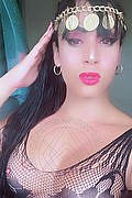 Lodi Trans Escort Yara 334 2700693 foto selfie 35