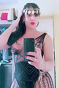 Lodi Trans Escort Yara 334 2700693 foto selfie 36