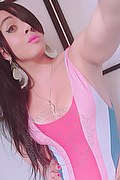 Lodi Trans Escort Yara 334 2700693 foto selfie 28