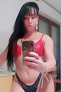 Lodi Trans Escort Yara 334 2700693 foto selfie 26