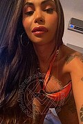 Bergamo Trans Escort Haycka Pornostar 393 1191544 foto selfie 2