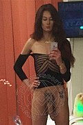 Bari Trans Escort Miranda Pinocchio Pornostar 329 4449590 foto selfie 6