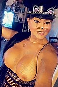 Quarto D'altino Trans Escort Roberta Kelly 331 5400919 foto selfie 386