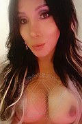 Rovigo Trans Escort Layla 327 4016206 foto selfie 5