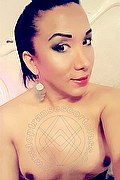 Rovigo Trans Escort Layla 327 4016206 foto selfie 20