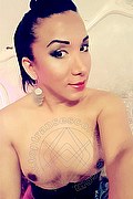 Rovigo Trans Escort Layla 327 4016206 foto selfie 13