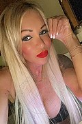 Villorba Trans Escort Pamy La Diva Stellare 324 7819703 foto selfie 145