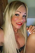 Villorba Trans Escort Pamy La Diva Stellare 324 7819703 foto selfie 141