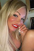 Villorba Trans Escort Pamy La Diva Stellare 324 7819703 foto selfie 113