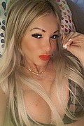 Villorba Trans Escort Pamy La Diva Stellare 324 7819703 foto selfie 100