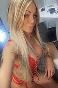 Villorba Trans Escort Pamy La Diva Stellare 324 7819703 foto selfie 97