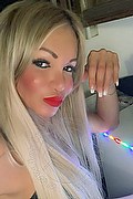 Villorba Trans Escort Pamy La Diva Stellare 324 7819703 foto selfie 61