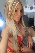 Villorba Trans Escort Pamy La Diva Stellare 324 7819703 foto selfie 60