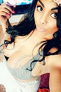 Milano Trans Escort Ariel Collins 376 268 7589 foto selfie 21