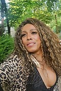 Mestre Trans Escort Paolina Mulatta 333 2910933 foto selfie 3