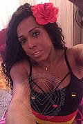 Mestre Trans Escort Paolina Mulatta 333 2910933 foto selfie 24