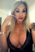 Villorba Trans Escort Pamy La Diva Stellare 324 7819703 foto selfie 468