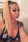 Villorba Trans Escort Pamy La Diva Stellare 324 7819703 foto selfie 504