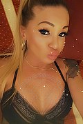 Villorba Trans Escort Pamy La Diva Stellare 324 7819703 foto selfie 499