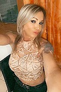 Villorba Trans Escort Pamy La Diva Stellare 324 7819703 foto selfie 517