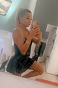 Villorba Trans Escort Pamy La Diva Stellare 324 7819703 foto selfie 691