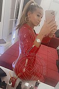 Villorba Trans Escort Pamy La Diva Stellare 324 7819703 foto selfie 559