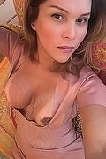 Udine Trans Escort Adriana Ventury Pornostar 320 1606762 foto selfie 84