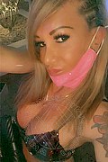 Villorba Trans Escort Pamy La Diva Stellare 324 7819703 foto selfie 776