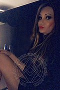 Villorba Trans Escort Pamy La Diva Stellare 324 7819703 foto selfie 939