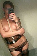 Treviso Trans Escort Valeria 338 8718849 foto selfie 768