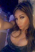 Villorba Trans Escort Pamy La Diva Stellare 324 7819703 foto selfie 969