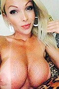 Padova Trans Escort Carla Novaes Pornostar 320 3414051 foto selfie 66