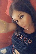 Villorba Trans Escort Pamy La Diva Stellare 324 7819703 foto selfie 1036