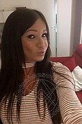 Villorba Trans Escort Pamy La Diva Stellare 324 7819703 foto selfie 1020