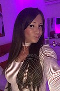 Villorba Trans Escort Pamy La Diva Stellare 324 7819703 foto selfie 1019