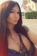 Villorba Trans Escort Pamy La Diva Stellare 324 7819703 foto selfie 1102