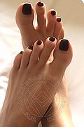 Reggio Emilia Trans Escort Sayda 345 3509360 foto selfie 2