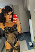 Gallarate Trans Escort Kauane Lima 351 4438227 foto selfie 14