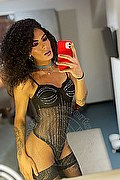 Gallarate Trans Escort Kauane Lima 351 4438227 foto selfie 13