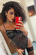 Gallarate Trans Escort Kauane Lima 351 4438227 foto selfie 12