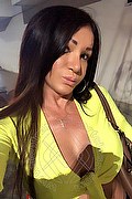 Villorba Trans Escort Pamy La Diva Stellare 324 7819703 foto selfie 1165