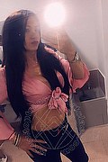 Villorba Trans Escort Pamy La Diva Stellare 324 7819703 foto selfie 1155